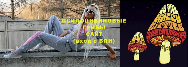 кристаллы Краснослободск